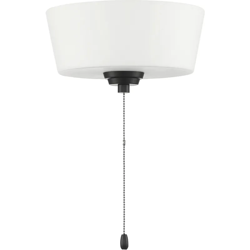 Outdoor Bowl LED Flat Black Fan Light Kit in White Glass One Day Deal